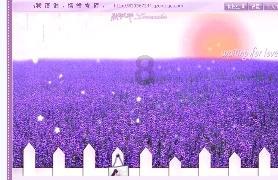 英雄联盟官方助手