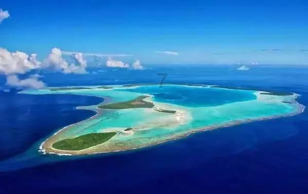 华野特纵坦克驰援碾庄，谎称是邱清泉部援军，令黄百韬部队空欢喜