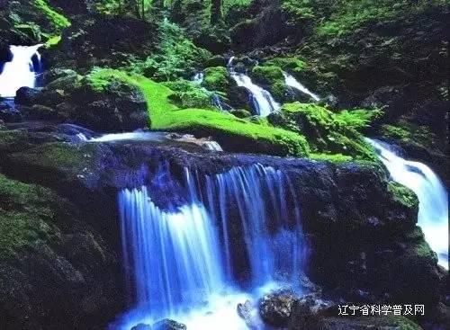 我出了交通事故，伤者以出院，她要求赔偿后续治疗费，这个费用由谁承担？保险还是我。。游戏画面