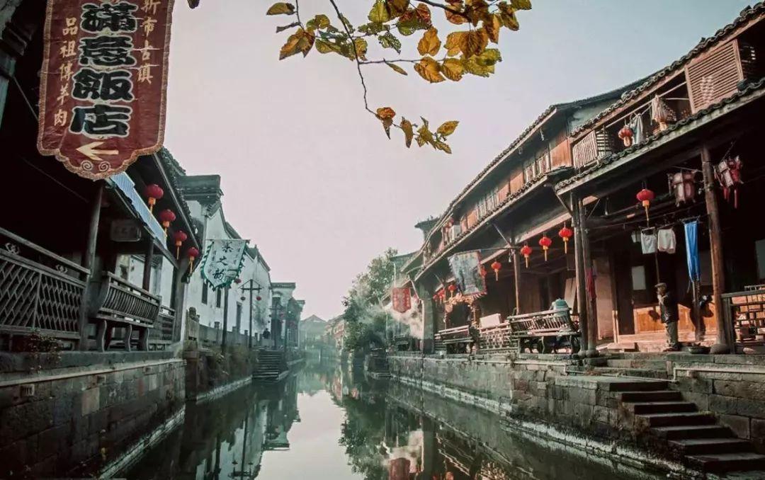 法庭之上老人状告子女，对簿公堂争吵不断，究竟发生了什么