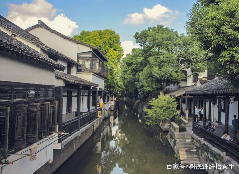 救援小犬立苏